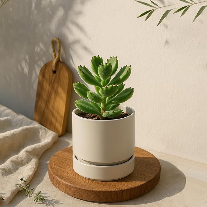 Phoenix Vine 4 Inch Planter Pot with Drainage Hole & Saucer, Deep Water Catch Tray, Straight Cylindrical Round Pot for Plants, Oatmeal, Pack of 6, 23-E-R-6