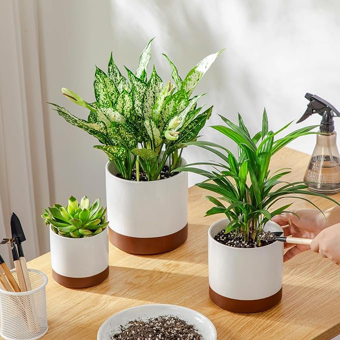 vancasso Ceramic Plant Pots, 4.25+5.25+6.25 Inch Planter Pot with Drainage Hole, Flower Pots for Indoor Outdoor Plants, Set of 3, Khaki