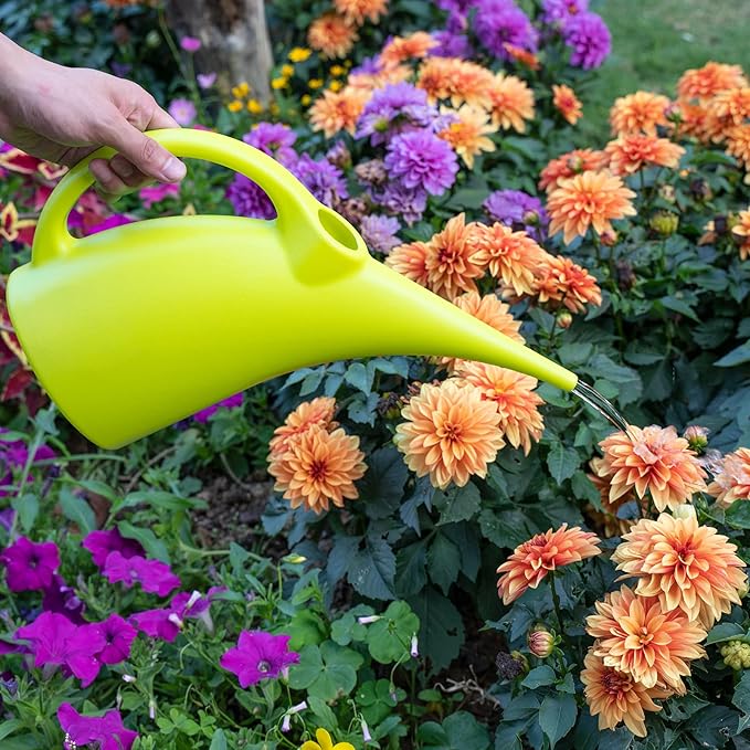 MyLifeUNIT Plastic Watering Can, Elegant Watering Pot, 1/2-Gallon (Green)