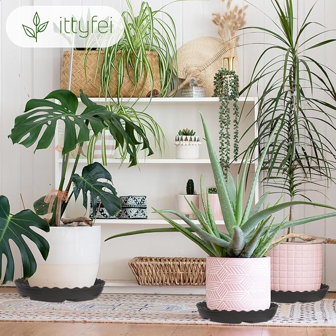 6 Pack 6 Inch Plant Trays for Pots, Raised Ridge Plant Saucers,8 10 12 14 Inch Durable Plastic Plant Pot Saucer,Black Round Plant Water Catcher Tray for Indoors and Outdoors(Black, 6''6pack)