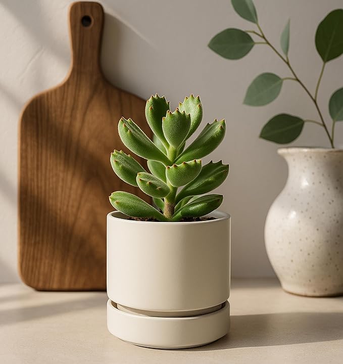 Phoenix Vine 4 Inch Planter Pot with Drainage Hole & Saucer, Deep Water Catch Tray, Straight Cylindrical Round Pot for Plants, Oatmeal, Pack of 1, 23-E-R-1