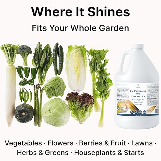 Liquid Seaweed Fertilizer for Plants with Soil Activator, Fermented Organic Liquid Kelp Fertilizer for Vegetables, Indoor and Outdoor Plants - Made in USA (1 Gallon)