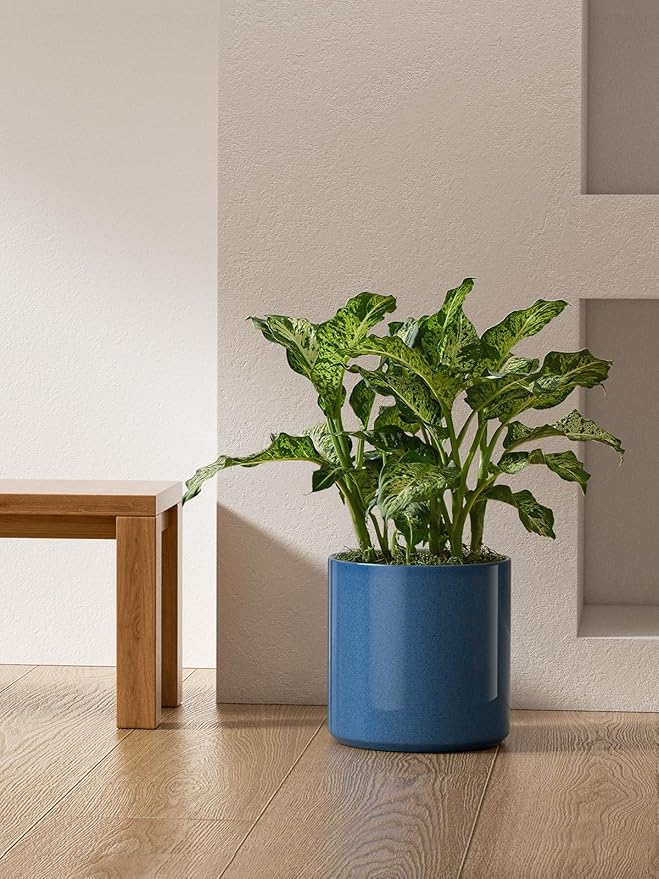 LE TAUCI 12 Inch Pots for Plants, Ceramic Large Plant Pot for Indoor Plants, Mid-Century Modern Flower Planter Pots with Drainage Hole and Removable Plug, Round Planter Pot, Reactive Glaze Blue