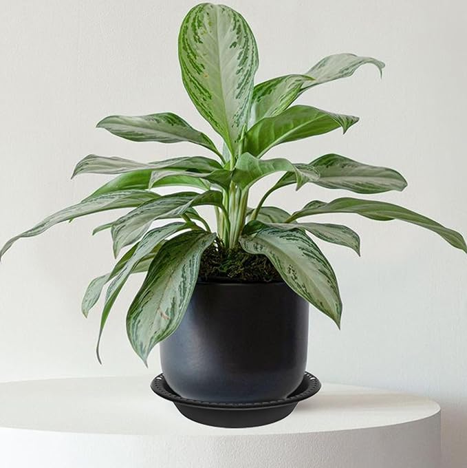 2 Pack of Extra Deep Plant Saucer Tray 10 inch, Heavy Duty Plastic Pot Plant Drip Trays Saucers for Indoors Outdoor, Black