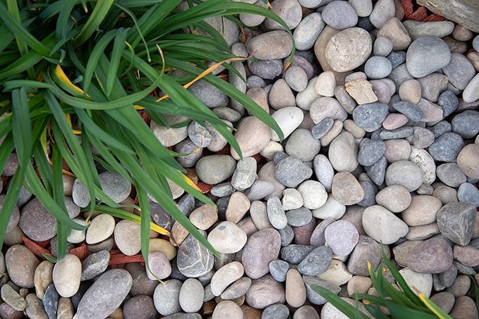 MSI Amazon Decorative Polished Multicolor Pebbles, 0.4 inch - 1.2 inch, 40 lb. Bag