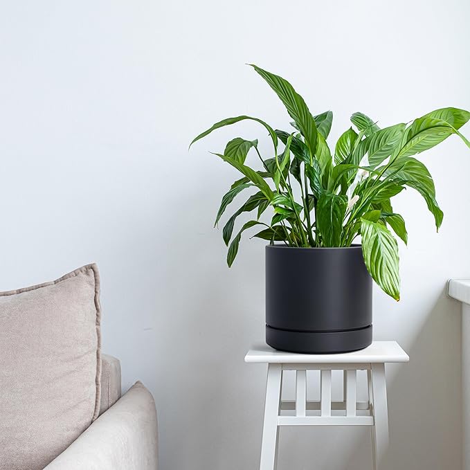 Phoenix Vine 6 Inch Planter Pot with Drainage Hole & Saucer, Deep Water Catch Tray, Straight Cylindrical Round Pot for Plants, Matte Black, Pack of 1, 23-C-S-1