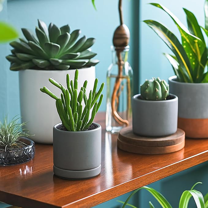 D'vine Dev Set of 3 Plants Pots, 3.5 Inch Ceramic Planter Pot for Plants with Drainage Hole and Saucer, Speckled Grey, 94-N-A-3