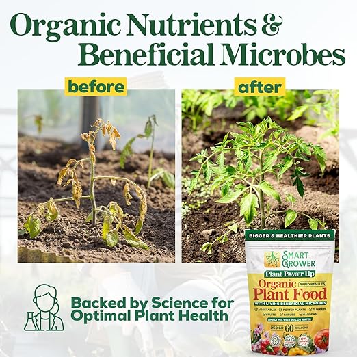 Organic Plant Food with Beneficial Microbes, Fast Acting Vegan Fertilizer for Vegetable Garden, Outdoor & Indoor Plant Fertilizer, Miracle Growth for Plants Concentrated 250GR 2-Pack Makes 60 Gallons