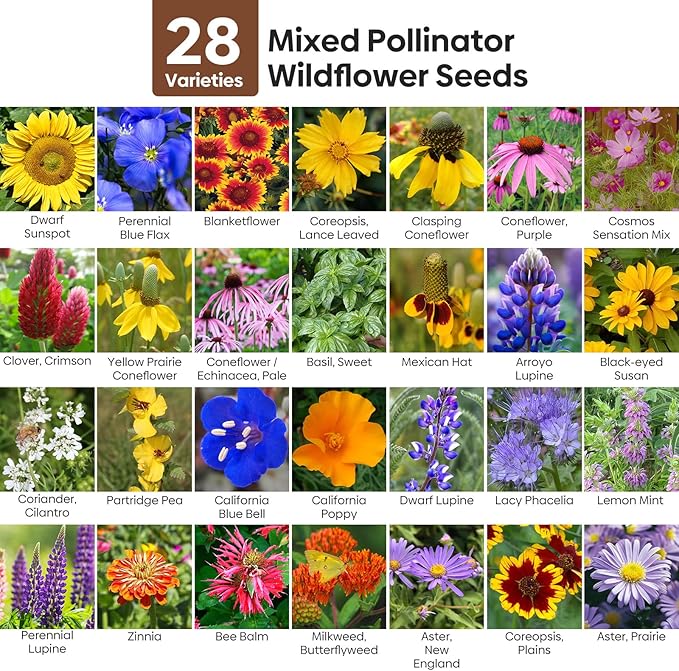 Wildflower Seeds Mix, 2 Oz, 50,000+, 28 Varieties Flowers Seeds for Planting, Annual Perennial Garden Seeds to Attract Bees, Butterflies & Birds