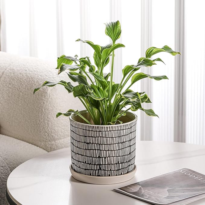 8 Inch Plant Pot: Ceramic Planter with Drainage Hole & Saucer for Indoor Outdoor Plants - Flowerpot with Bonded Tray for Home Office - Mixed Stripe Debossed