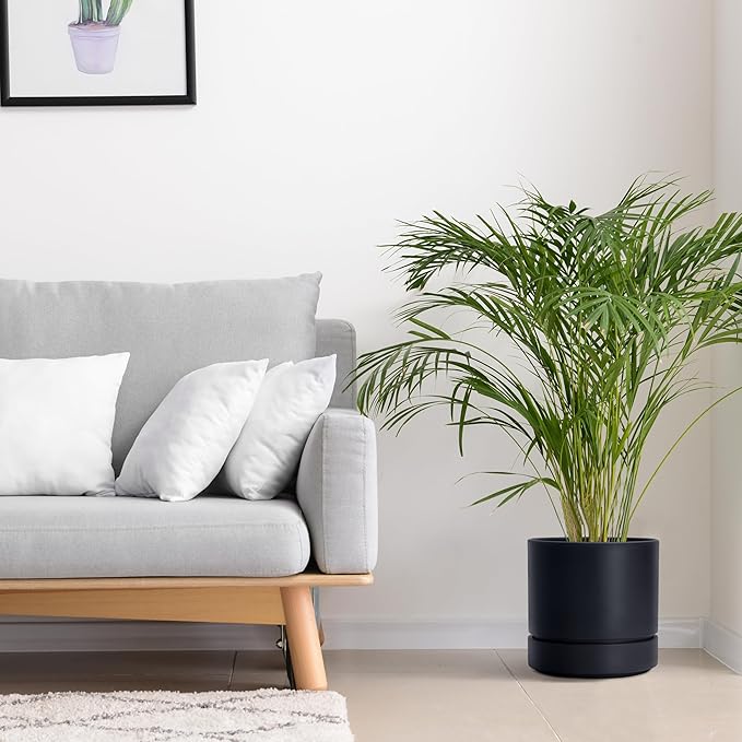 Phoenix Vine 8 Inch Planter Pot with Drainage Hole & Saucer, Deep Water Catch Tray, Straight Cylindrical Round Pot for Plants, Matte Black, Pack of 2, 23-C-T-2