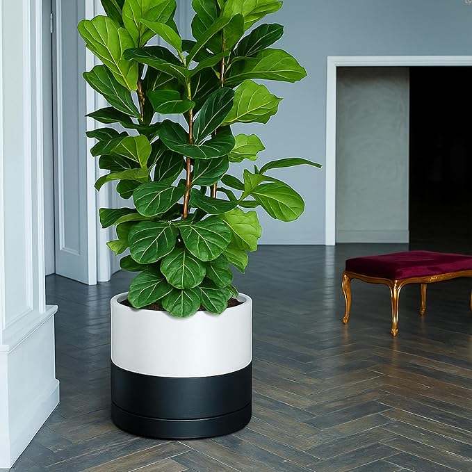D'vine Dev 14 Inch Ceramic Planter Pot with Drainage Hole and Saucer, Indoor Cylinder Round Planter Pot, Layered Monochrome Black & White, 94-O-G-L