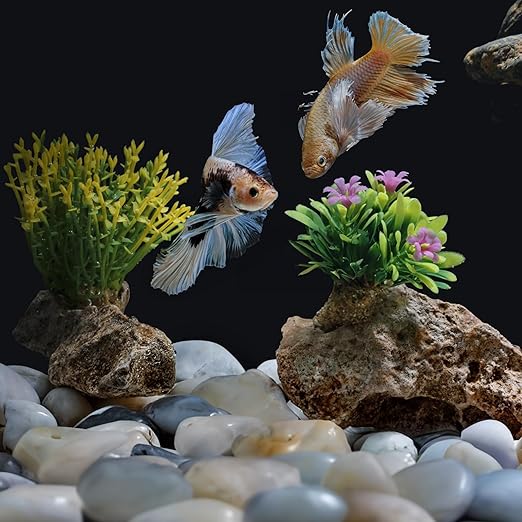 Black River Rocks 20lbs, 1-2Inch Natural Pebbles for Plants, High Polished Decorative Stones for Aquarium Vase Filler Fish Tank Landscaping Garden