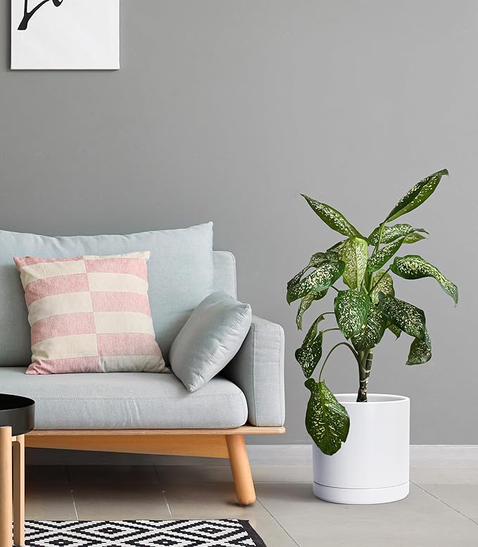 D'vine Dev 8.2 Inch & 10 Inch Ceramic Planter Pot for Plants with Drainage Hole and Saucer, Large Plant Pots Set, White, 94-G-L-1