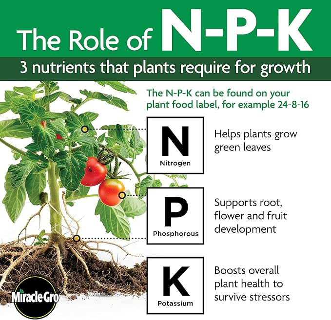 Osmocote Smart-Release Plant Food Plus Outdoor & Indoor₁, Granular Fertilizer with 11 Essential Nutrients, 8 lbs.