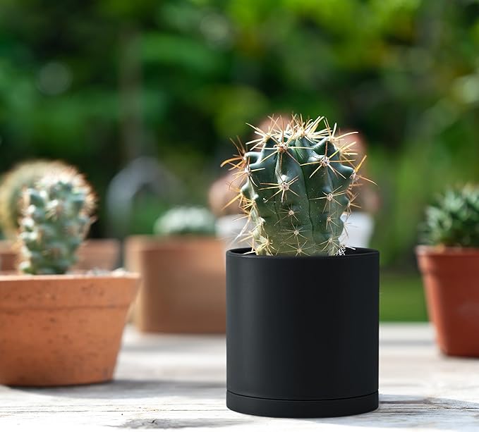 D'vine Dev 12 Pack 3.5 Inch Mini Plastic Plant Pots, Small Garden Planters for Plant with Drainage Holes and Saucers, Black Color, 74-Y-D-4