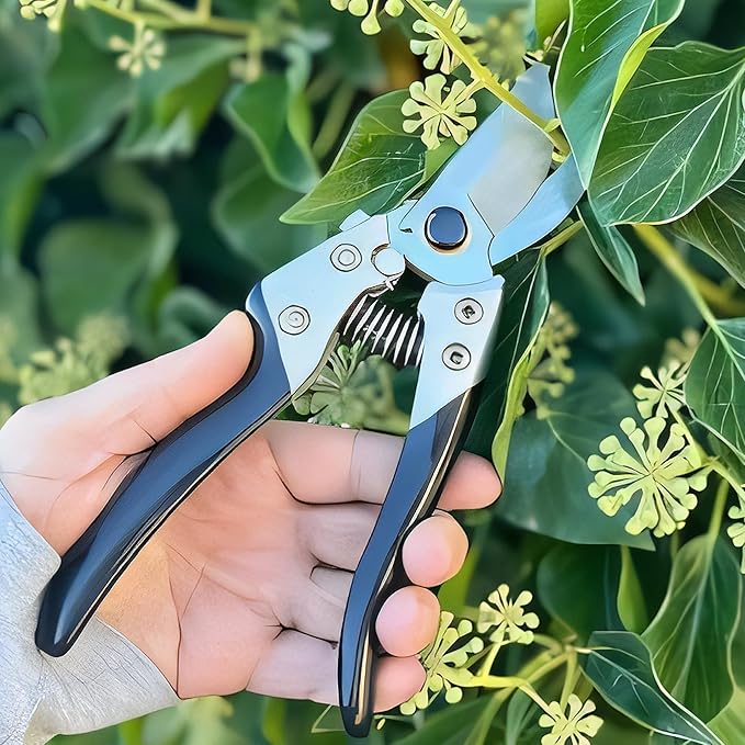 Professional Hand Pruners (Small/Medium) - Ergonomic Non-Slip Garden Shears, Heavy Duty Handheld Plant Trimmer, High Carbon Steel Blades Flower Cutter, Pruning Shears for Gardening and Harvesting