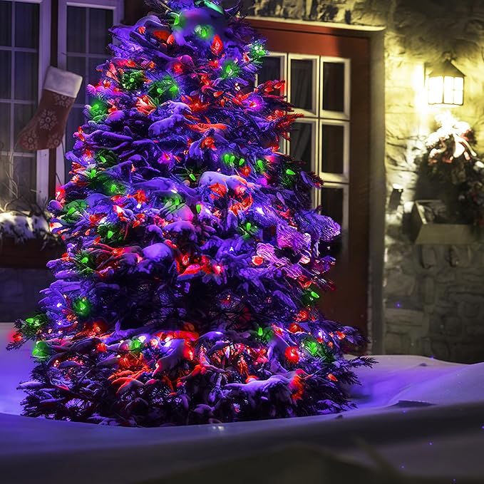 WBao Battery Operated Christmas Lights 60 LED 20ft, C6 Christmas String Lights with 8 Modes, Timer, Waterproof Design for Indoor Outdoor Christmas Trees, Fence, Stairs Xmas Decorations, Red Green