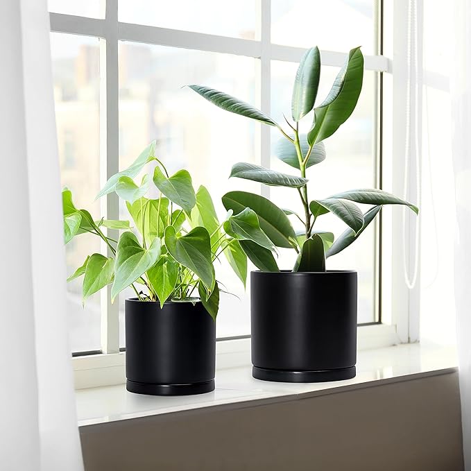 D'vine Dev Black Terracotta Pots for Plants, 4.2 Inch 5.3 Inch 6.5 Inch, Succulent Planter Pot with Drainage and Saucer, 40-T-A-2