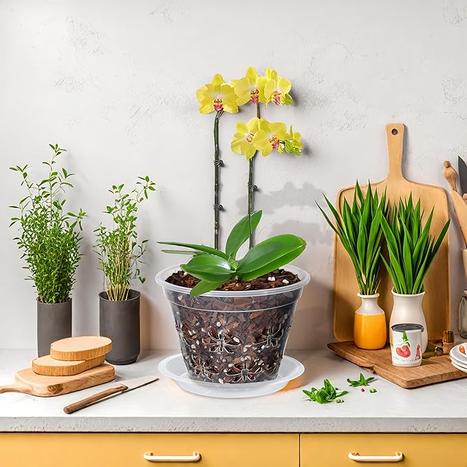 Orchid Pot, 8 Pack Orchid Pots with Holes & Saucers, Clear Plastic Pot for Repotting, Breathable Ventilation Planters for Phalaenopsis, Dendrobium & Oncidium Orchids(5 inch, Grey)