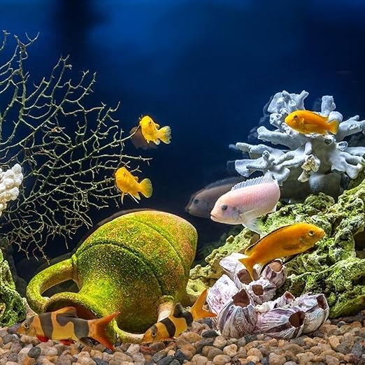 5 lbs Drainage Rocks for Potted Plants, 1/5 Inch Small Pebbles for Indoor Plants, Decorative Gravel for Vases, Bamboo, Succulent, Terrarium, Crafts, Cactus