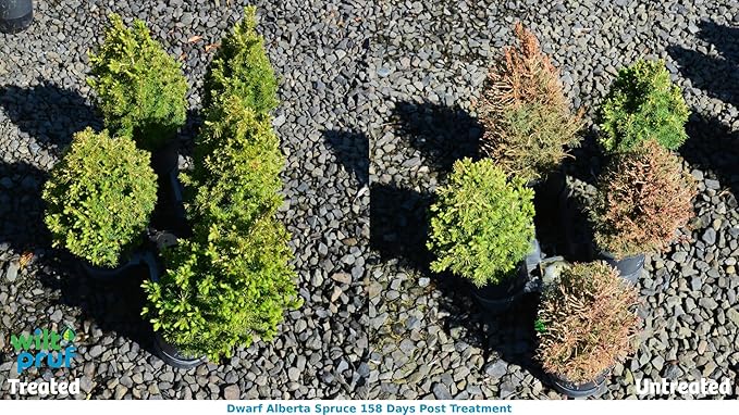 Wilt-Pruf® Concentrate | Organic Plant Protector | Professional-Grade Moisture Retention (16 oz)