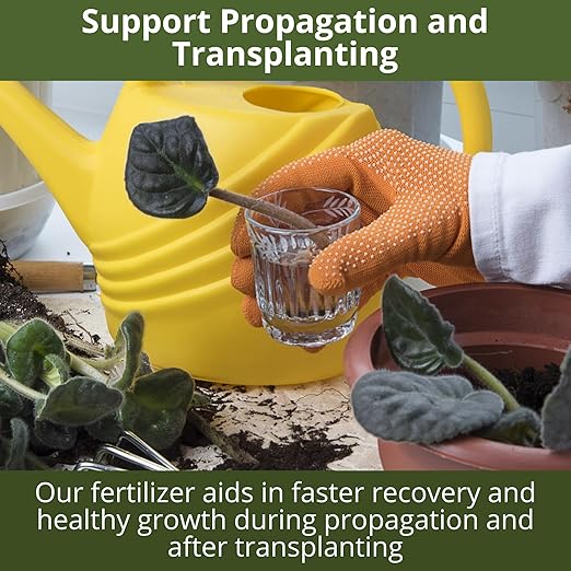 3-1-2 African Violet Fertilizer for Indoor Plants: Liquid Fertilizer with Essential Micronutrients Drops - Plant Food for African Violets (32 OZ)