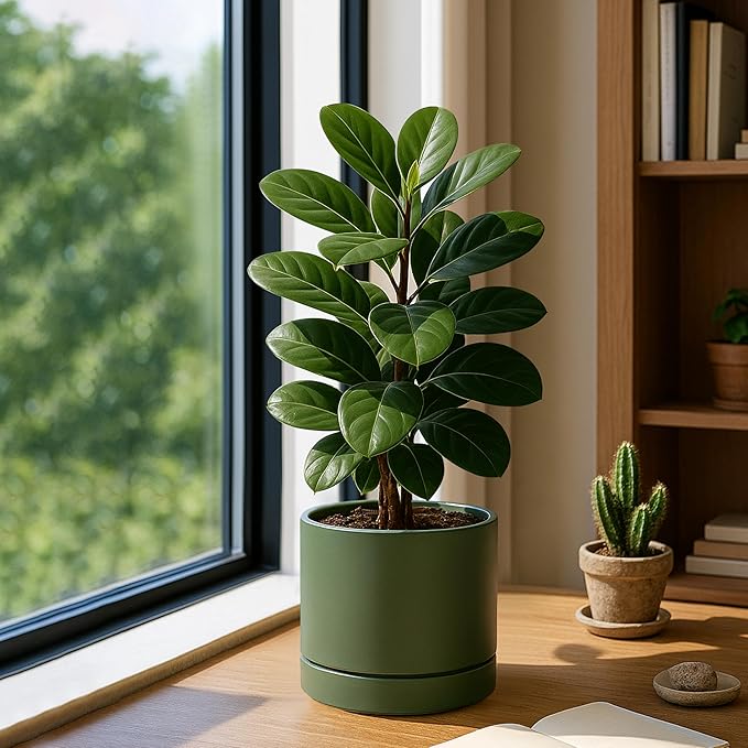 Phoenix Vine 8 Inch Planter Pot with Drainage Hole & Saucer, Deep Water Catch Tray, Straight Cylindrical Round Pot for Plants, Olive, Pack of 2, 23-F-T-2