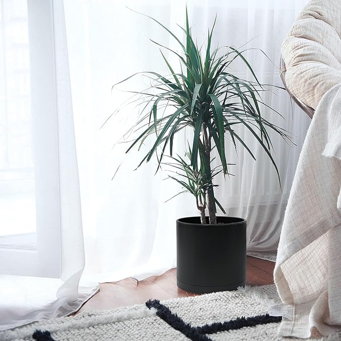 D'vine Dev 2 Pack 10 Inch Modern Plastic Plant Pots, Small Garden Planters for Plant with Drainage Holes and Saucers, Black Color, 74-Y-N-1