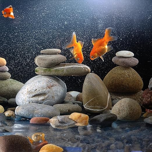 Large River Rocks for Landscaping 20lbs, 2-3 Inch Big Black Pebbles, Hand-Picked Premium Stones for Garden Design, Fish Tank, Flower Pots, Pathways and Backyard