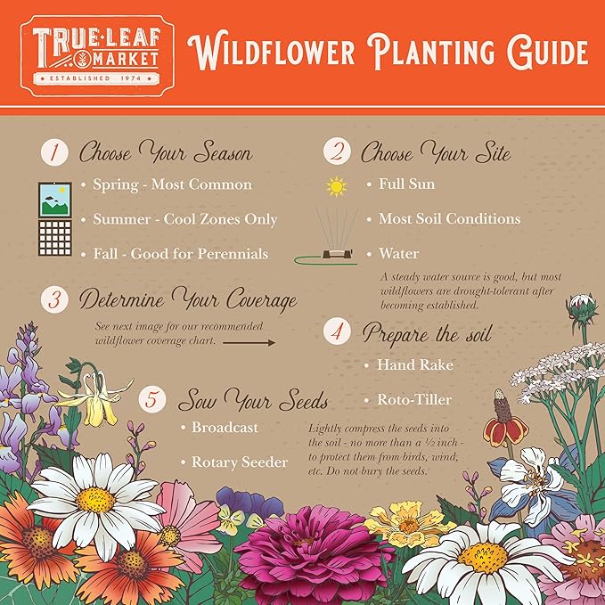 Bulk Wildflower Seeds for Texas and Oklahoma β 1/4 LB (~160,000 Seeds) β Non-GMO Mix of Annuals & Perennials β Native Flowers for Pollinators, Bouquets, Landscaping