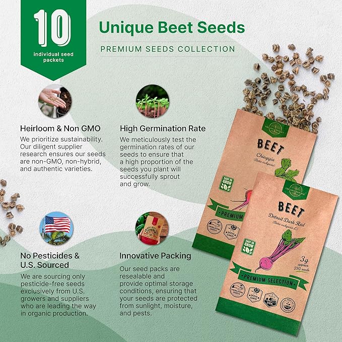 Organo Republic 10 Rare Beet Seeds Variety Pack for Planting Indoor & Outdoors 1625+ Heirloom Non-GMO Bulk Beets Gardening Seeds: Chioggia, Detroit Dark Red, Sugar, Cylindra, Bulls Blood, White Albino