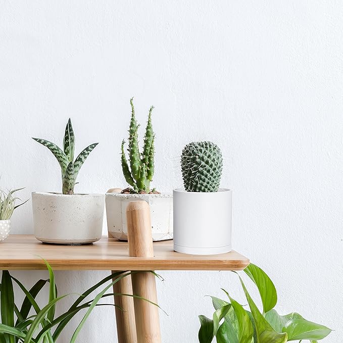 D'vine Dev 6 Pack 4 Inch Modern Plastic Plant Pots, Small Garden Planters for Plant with Drainage Holes and Saucers, White Color, 74-Z-E-3