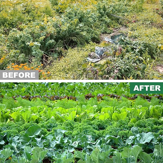 Triangle Garden Hoe, Carbon Steel Push-Pull Weeding Tool, Equipped with 57.5" Stainless Steel Long Handle – A Long-Handle Weeder for Digging, Weeding, Hoeing and Loosening Soil