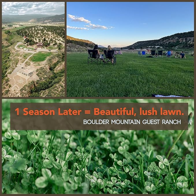 Micro Clover Seed for Lawn - 1 Oz - ~25,000 Microclover Seeds for Planting - Drought-Tolerant Mini Grass Alternative by Mountain Valley Seed Company