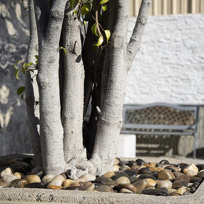 MSI Decorative Polished Mixed Pebbles, 1.2 inch - 2 inch, 40 lb. Bag