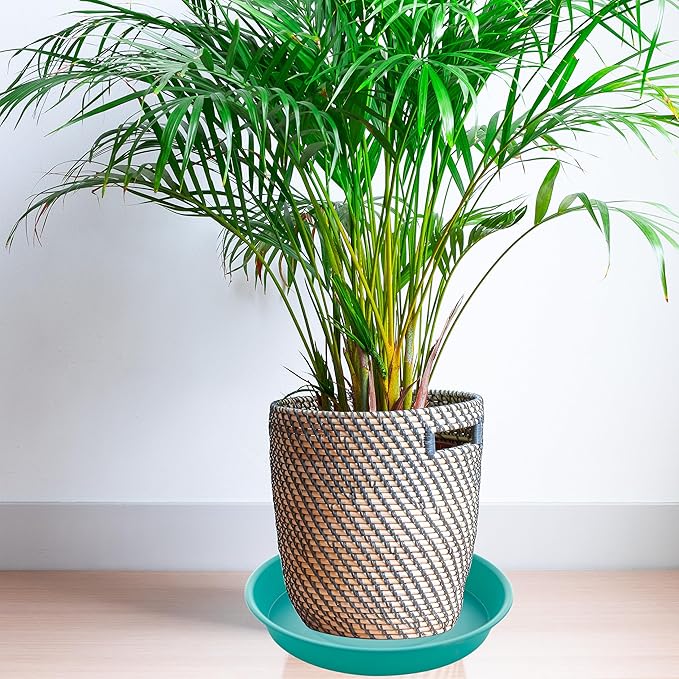 6 Pack of 10 inch Plant Saucer Blue, Heavy Duty Plastic Plant Saucer 10 inch Round, Flower Plant Saucers for Indoors, Plant Trays for Planter 8"/9"/10" (10", Teal)