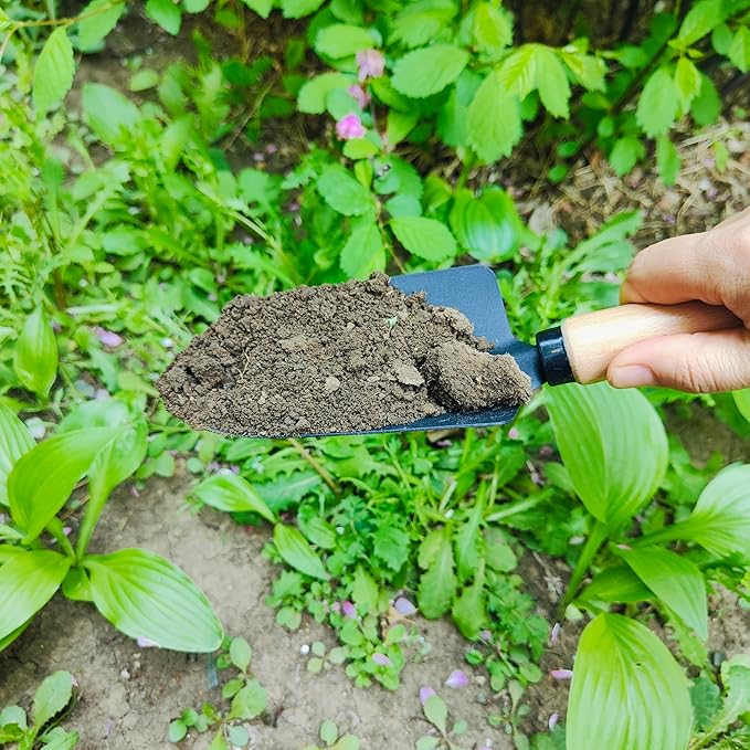 Gardening Tool, 3Pcs Heavy Duty Gardening Kit Including Trowel Transplanter Cultivator Gardening Hand Tools (3pcs Garden Tool)