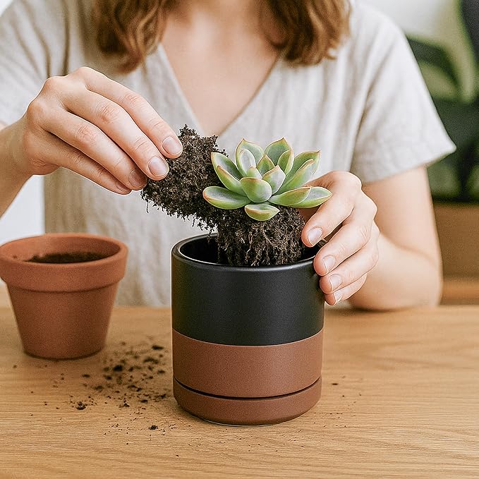 D'vine Dev Set of 3 Plants Pots, 3.5 Inch Ceramic Planter Pot for Plants with Drainage Hole and Saucer, Black/Speckled Tan, 94-N-A-7