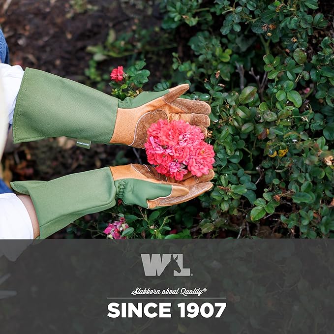 Wells Lamont Rosetender Gardening Gloves for Women – Thorn Proof Garden Gloves, Grain Leather Long Gloves for Pruning & Yard Work, 4129-300, Medium