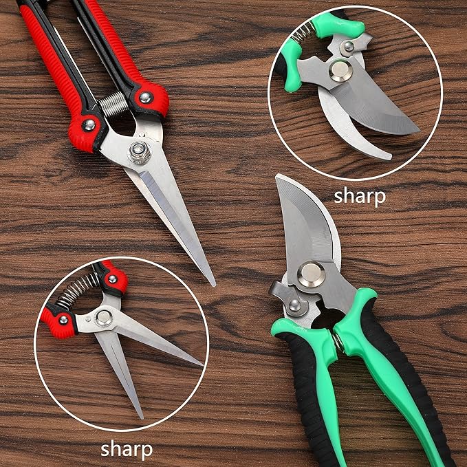 5‑Piece Garden Pruning Shears Set with Gloves & Storage Bag – Stainless Steel Trimming Scissors for Flowers, Herbs & Small Branches – Ergonomic Gardening Tools Kit (Multi-color)