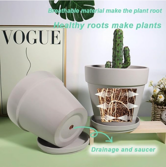 Botanicasa Terracotta Pots