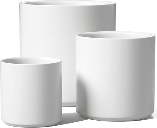 Elevate Your Space with the Timeless Charm of vancasso Ceramic Plants