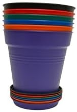 Mintra Home Garden Pots - Flowers, Herbs, Plants, Indoor, Outdoor, Colorful, Wholesale, Bulk (Assorted 6pk, 13cm Diameter (5in))