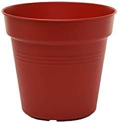 Mintra Home Garden Pots 4pk - Flowers, Herbs, Plants, Indoor, Outdoor, Colorful, Wholesale, Bulk (Burgundy, 13cm Diameter (5in))