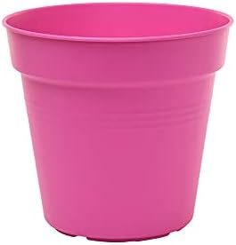 Mintra Home Garden Pots 4pk - Flowers, Herbs, Plants, Indoor, Outdoor, Colorful, Wholesale, Bulk (Fuchsia, 15cm Diameter (5.9in))