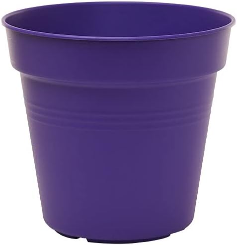 Mintra Home Garden Pots 4pk - Flowers, Herbs, Plants, Indoor, Outdoor, Colorful, Wholesale, Bulk (Purple, 13cm Diameter (5in))