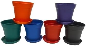 Mintra Home Garden Pots - Flowers, Herbs, Plants, Indoor, Outdoor, Colorful, Wholesale, Bulk (Assorted 6pk, 11cm Diameter (4.3in))