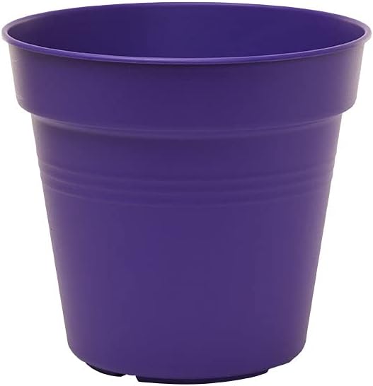 Mintra Home Garden Pots 4pk - Flowers, Herbs, Plants, Indoor, Outdoor, Colorful, Wholesale, Bulk (Purple, 15cm Diameter (5.9in))