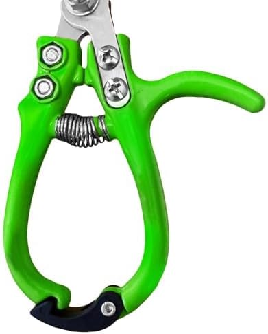 GARDEN GURU Ergonomic Garden Snips Clippers – Professional Hand Pruner Pruning Shear with Comfort Grip Handles for Gardening Trimming and Yard Work – High Carbon Steel (2 Pack)